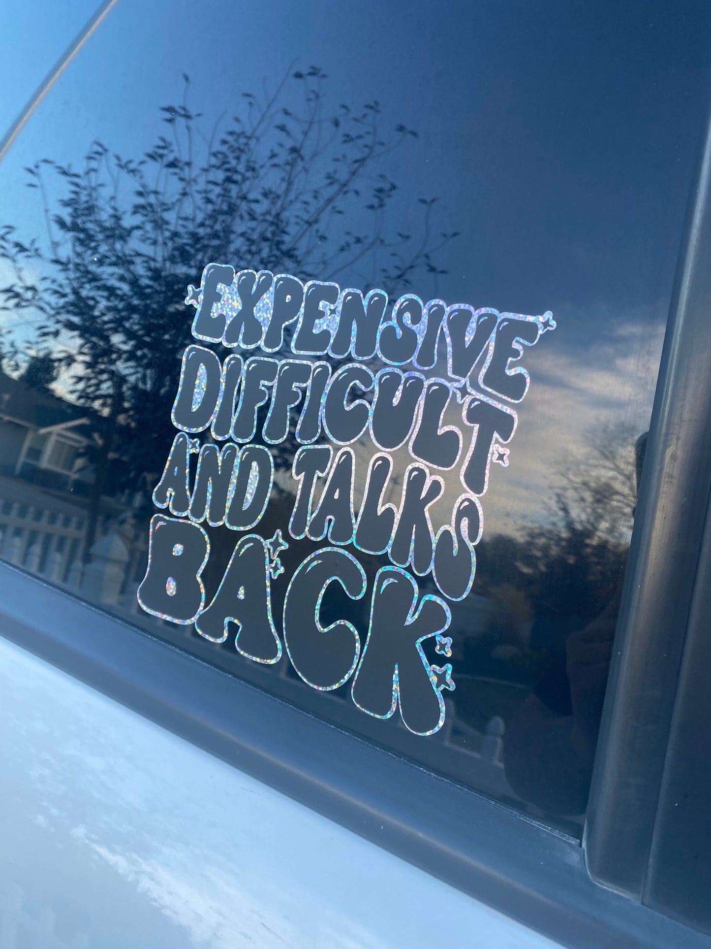 Expensive, Difficult And Talks Back Car Decal