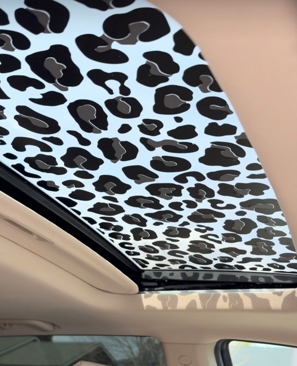 Leopard Print 2 Colored Sun Roof Car Decal