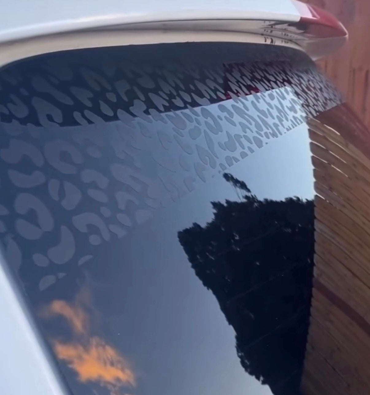 Leopard Print Windshield Banner Car Decal