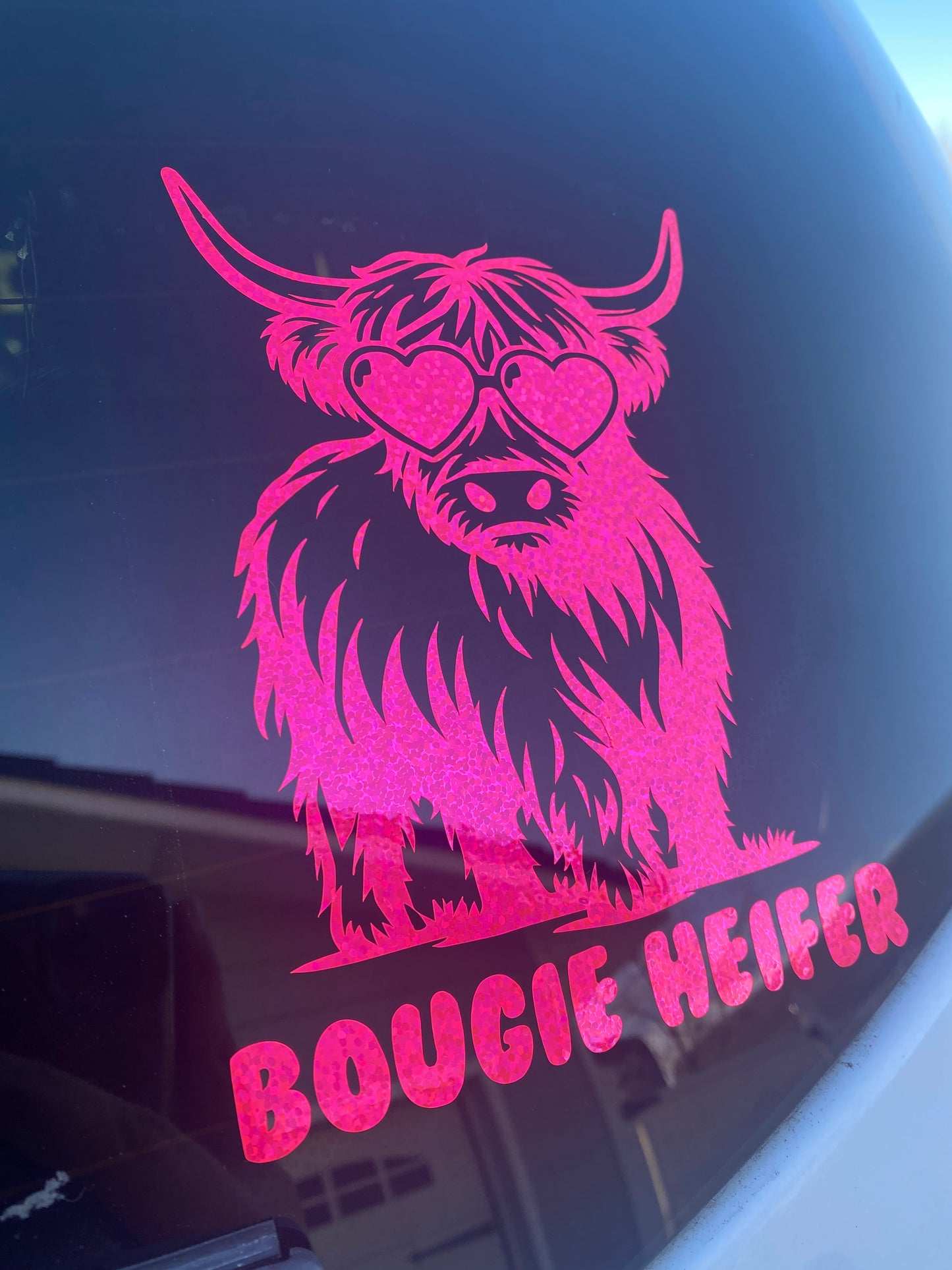 Bougie Heifer Highland Cow Car Decal