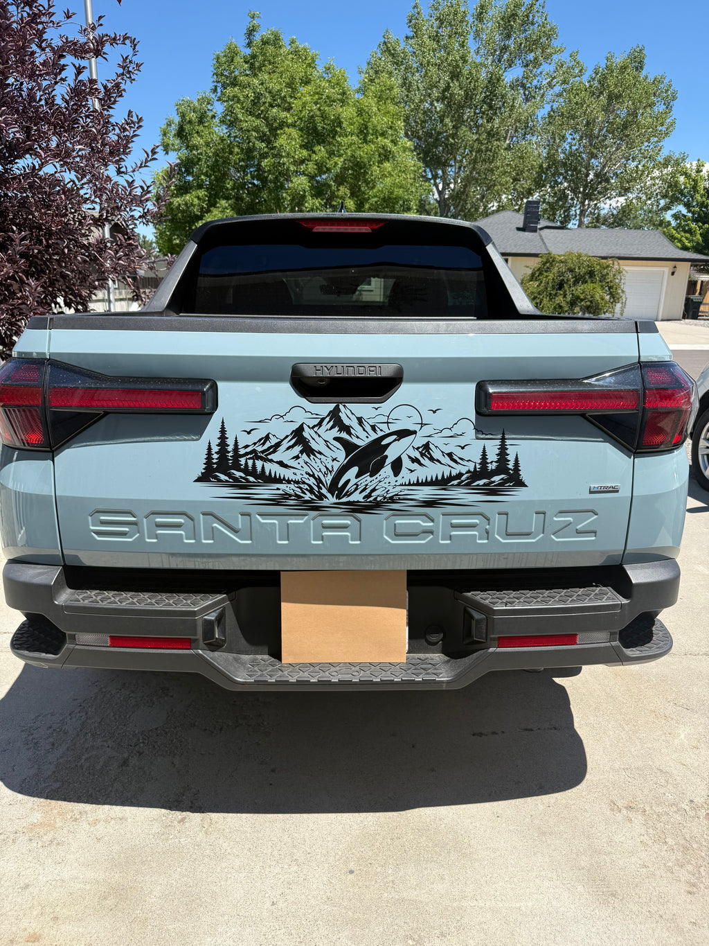 Orca Mountain Escape Full Coverage Car Decal