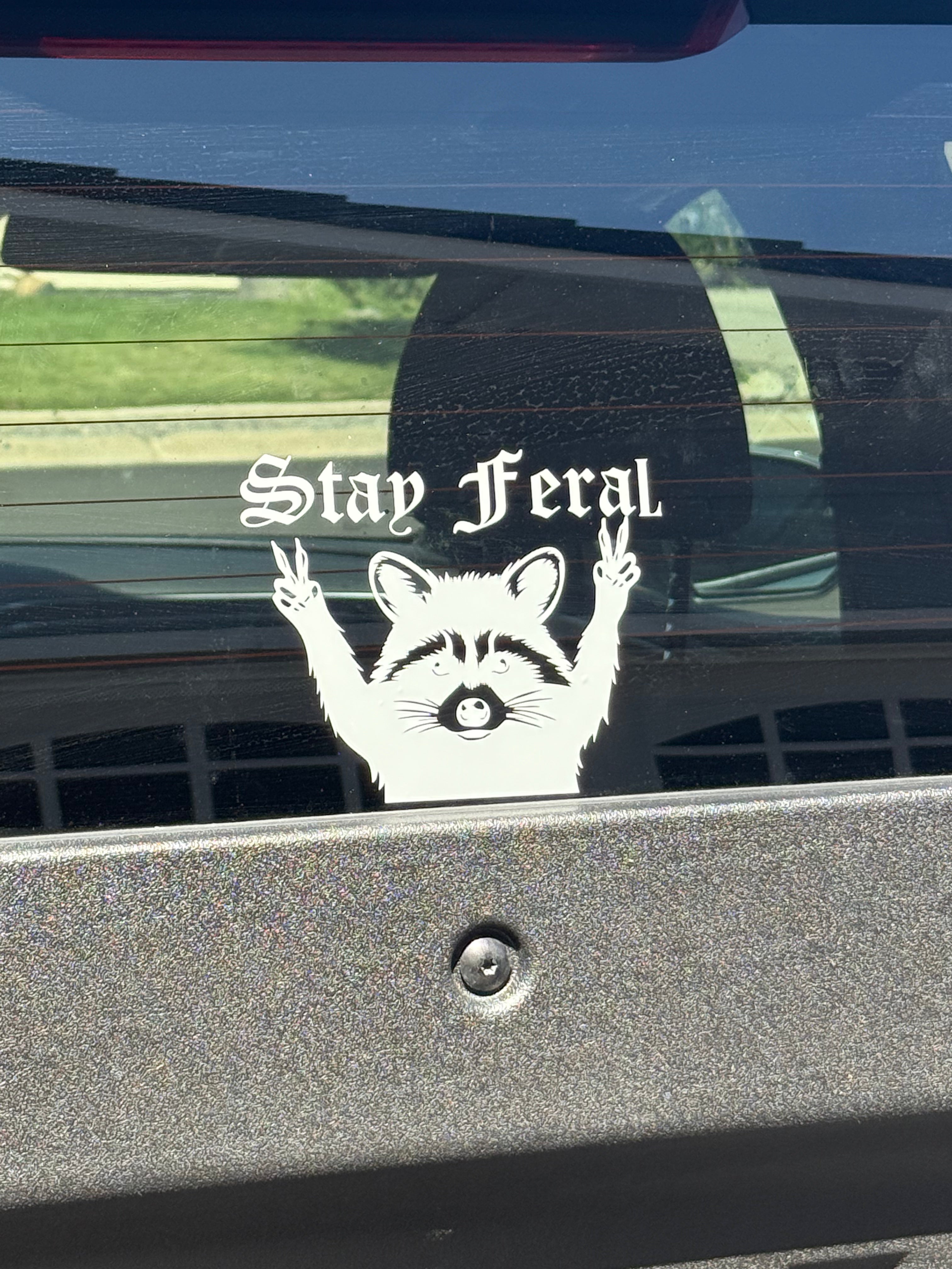 Stay Feral Car Decal
