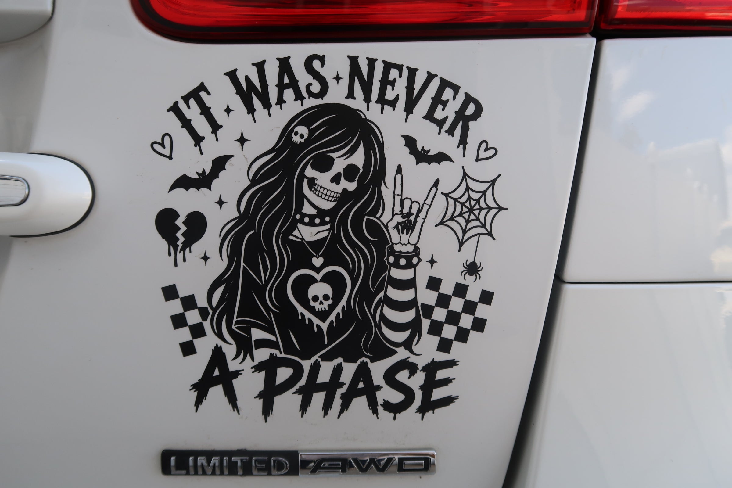 It Was Never A Phase Car Decal