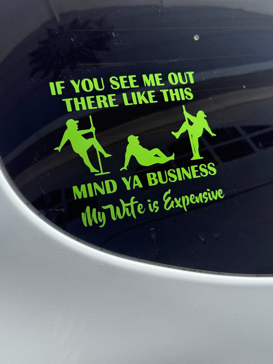 My Wife Is Expensive Car Decal