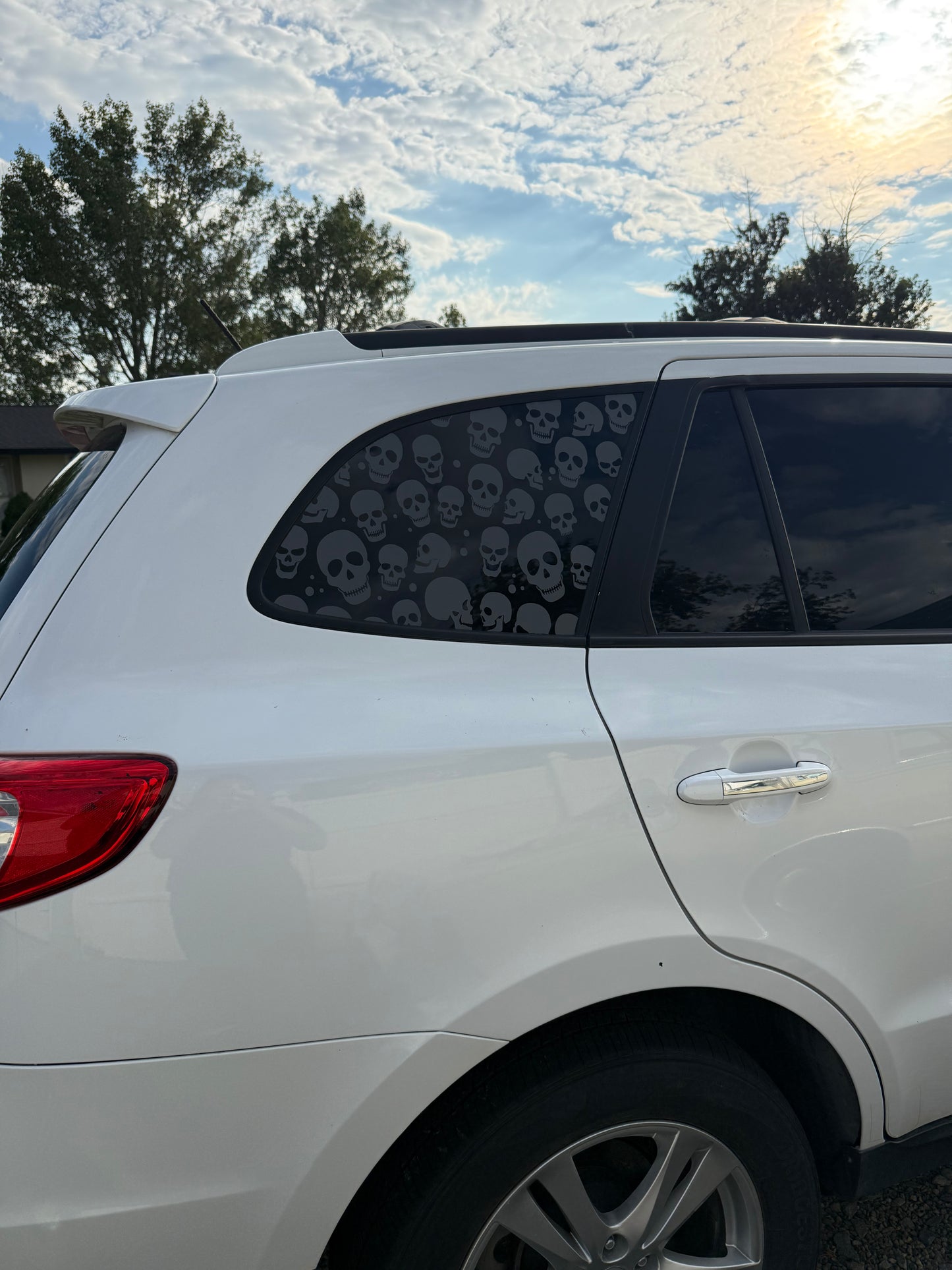 Skulls Full Coverage Car Window Decal