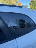 Hummingbirds and Sunflowers Full Coverage Car Window Decal