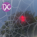 Spider Hanging On Web Car Window Decal