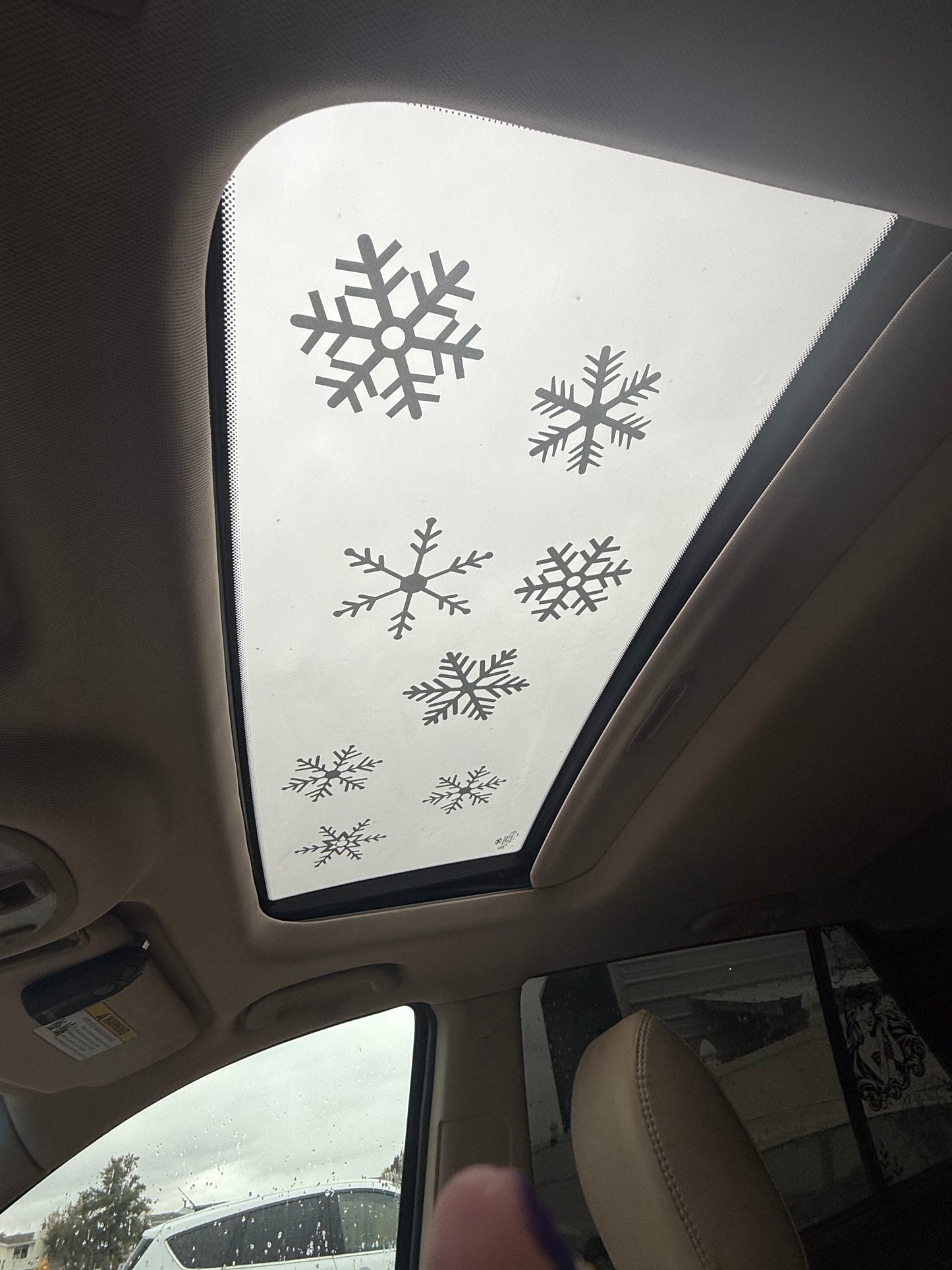 Snowflake Pack Car Window Decal