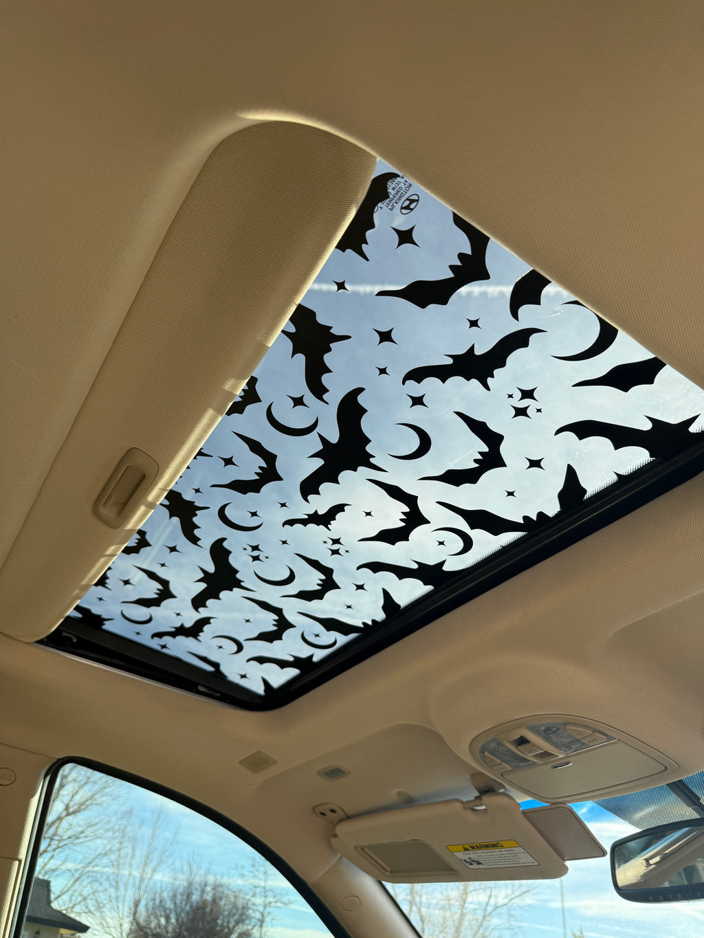 Bats Sun Roof Car Decal