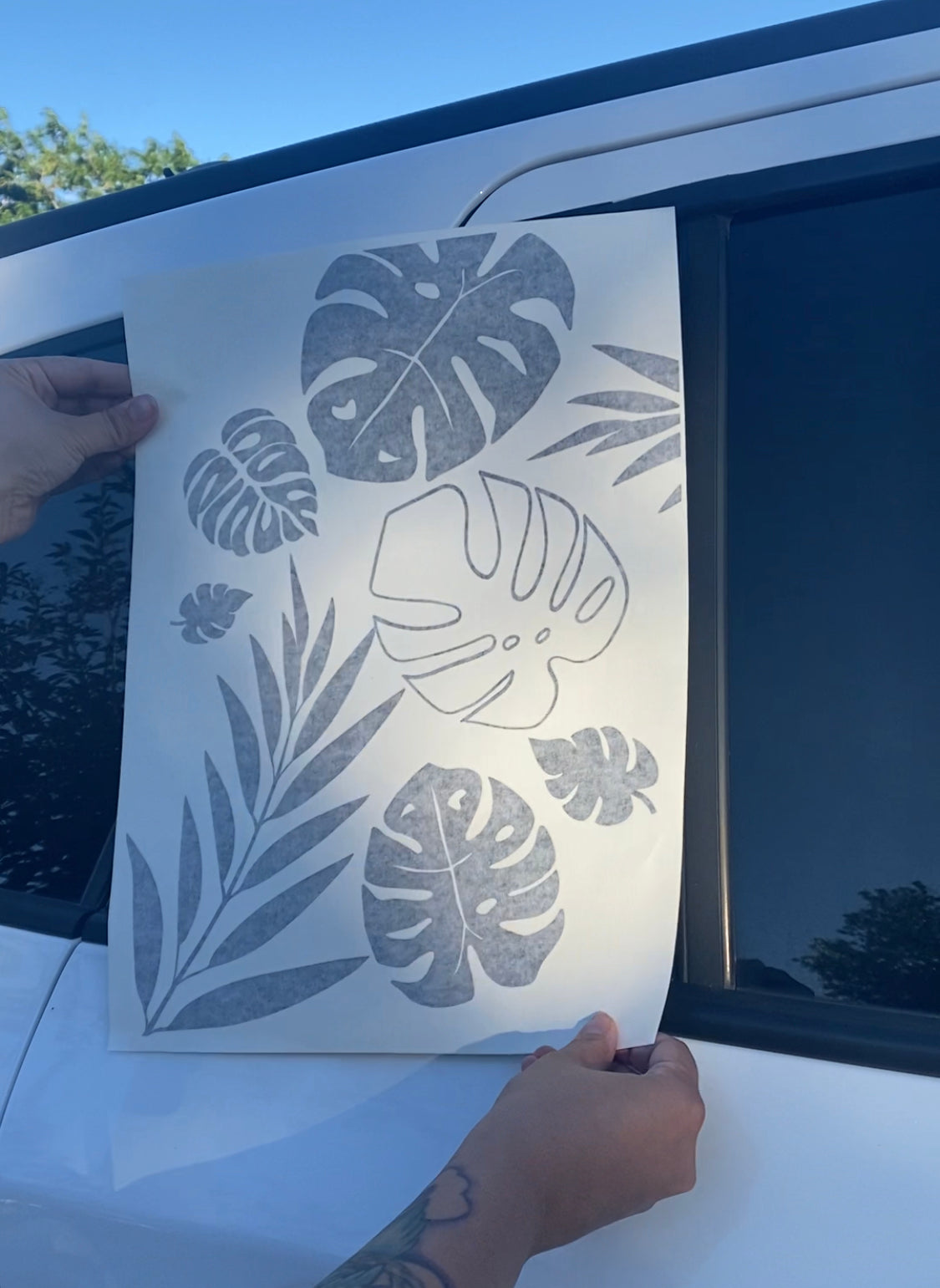 Monstera Tropical Plant Car Decal